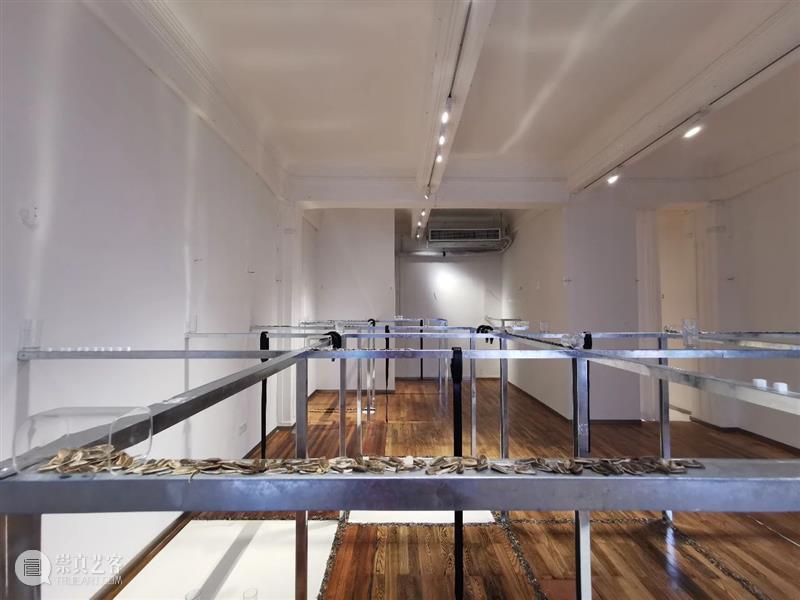 钱丽丽:废舌 | 609 SPACE X FAS 开幕现场 钱丽丽 FAS 现场 艺术家 个展 废舌 项目 SPACE 策展人 地址 崇真艺客