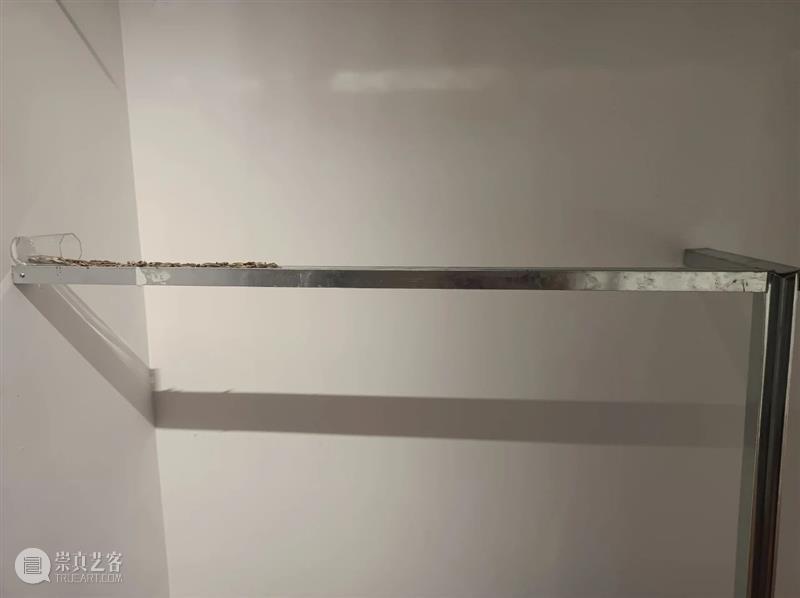 钱丽丽:废舌 | 609 SPACE X FAS 开幕现场 钱丽丽 FAS 现场 艺术家 个展 废舌 项目 SPACE 策展人 地址 崇真艺客