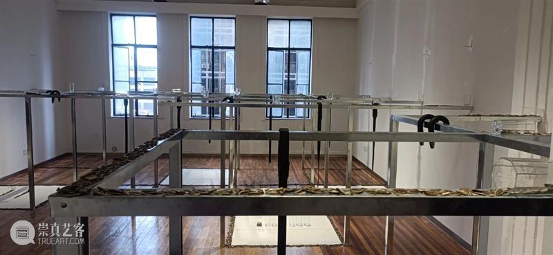 钱丽丽:废舌 | 609 SPACE X FAS 开幕现场 钱丽丽 FAS 现场 艺术家 个展 废舌 项目 SPACE 策展人 地址 崇真艺客