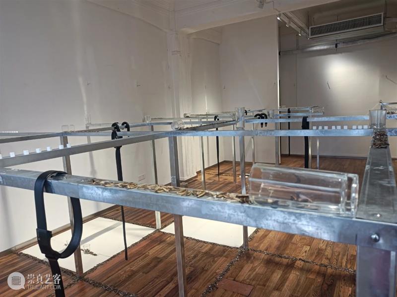 钱丽丽:废舌 | 609 SPACE X FAS 开幕现场 钱丽丽 FAS 现场 艺术家 个展 废舌 项目 SPACE 策展人 地址 崇真艺客