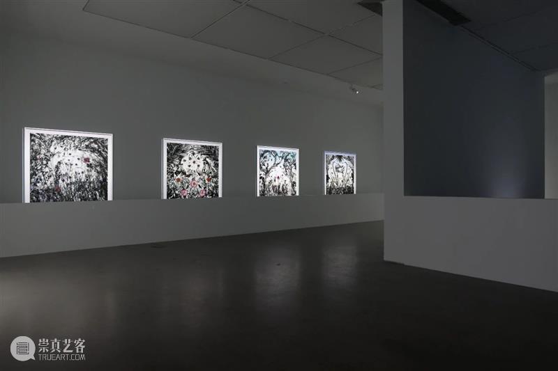 【ROOM 6×8 新展】Let there be Light ROOM Light 艺术家 设计师 作品 圣经 创世纪 上帝 耶和华 含义 崇真艺客
