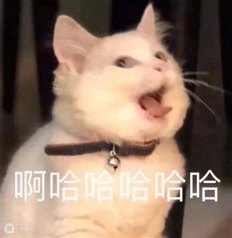 郑爽及工作室账号被关闭;《黑客帝国4》发布先导预告 黑客帝国4 先导 郑爽 工作室 账号 预告 影视 好剧 小豆 资讯 崇真艺客