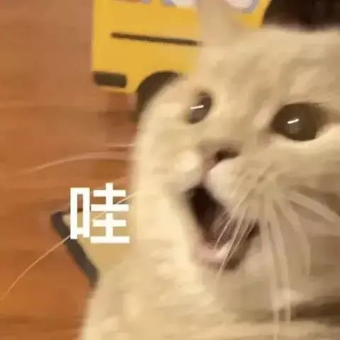 郑爽及工作室账号被关闭;《黑客帝国4》发布先导预告 黑客帝国4 先导 郑爽 工作室 账号 预告 影视 好剧 小豆 资讯 崇真艺客