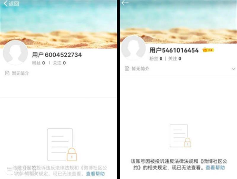郑爽及工作室账号被关闭;《黑客帝国4》发布先导预告 黑客帝国4 先导 郑爽 工作室 账号 预告 影视 好剧 小豆 资讯 崇真艺客