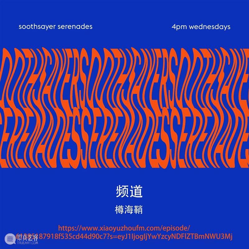 内部的流动 | 占卜者小夜曲#7 樽海鞘 内部 樽海鞘 占卜者 小夜曲 南京四方当代美术馆 笔记 艺术家 阿姆莉塔 赫皮 Hepi 崇真艺客