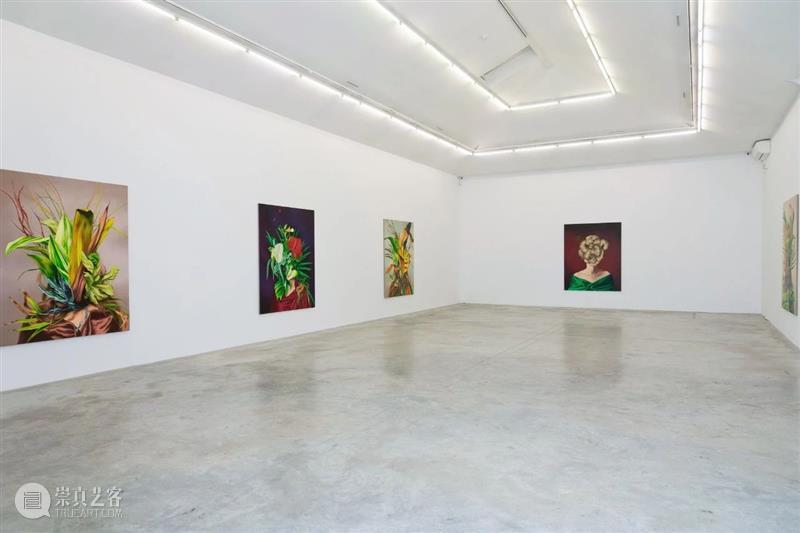 展览现场｜伊娃·尤斯凯维奇（Ewa Juszkiewicz）「绽放，和永远的春荫」@ 阿尔敏·莱希 - 巴黎 伊娃 尤斯凯维奇 阿尔敏 莱希 巴黎 Juszkiewicz 春荫 现场 栗色脸颊 布面 崇真艺客