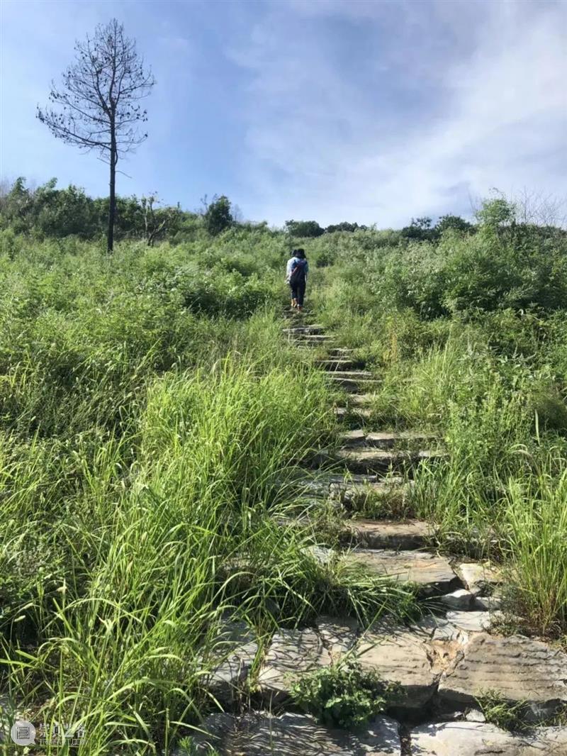 “田埂花开”绘本计划 | 连州行:走进神与人尚有交汇的村落 田埂 绘本 计划 连州 神与人 村落 广东时代美术馆联合广东省时代公益基金会 儿童 读物 文化 崇真艺客