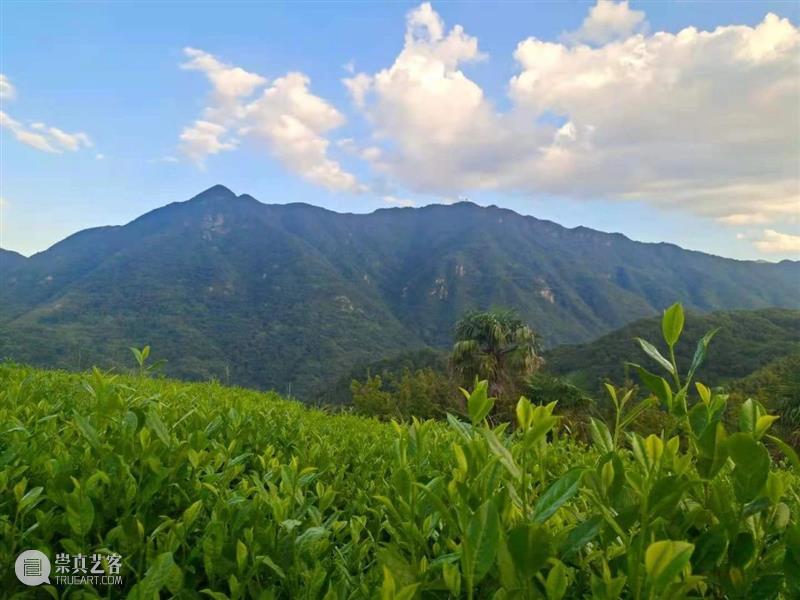 熏得几分人间烟火，焉能不带烟火气 人间烟火 烟火 浙江 新昌 天姥山 活化石 泠风 兰林 清响 霄崖 崇真艺客