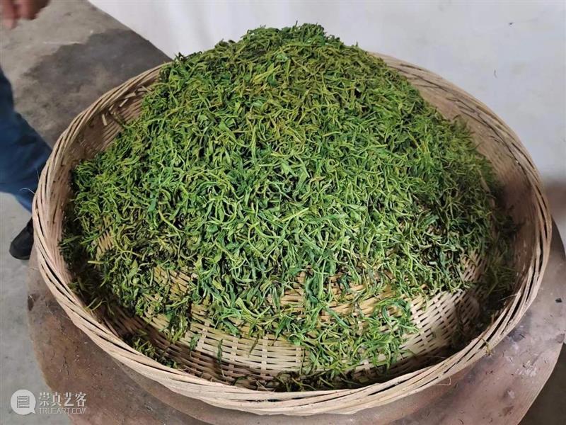 熏得几分人间烟火，焉能不带烟火气 人间烟火 烟火 浙江 新昌 天姥山 活化石 泠风 兰林 清响 霄崖 崇真艺客