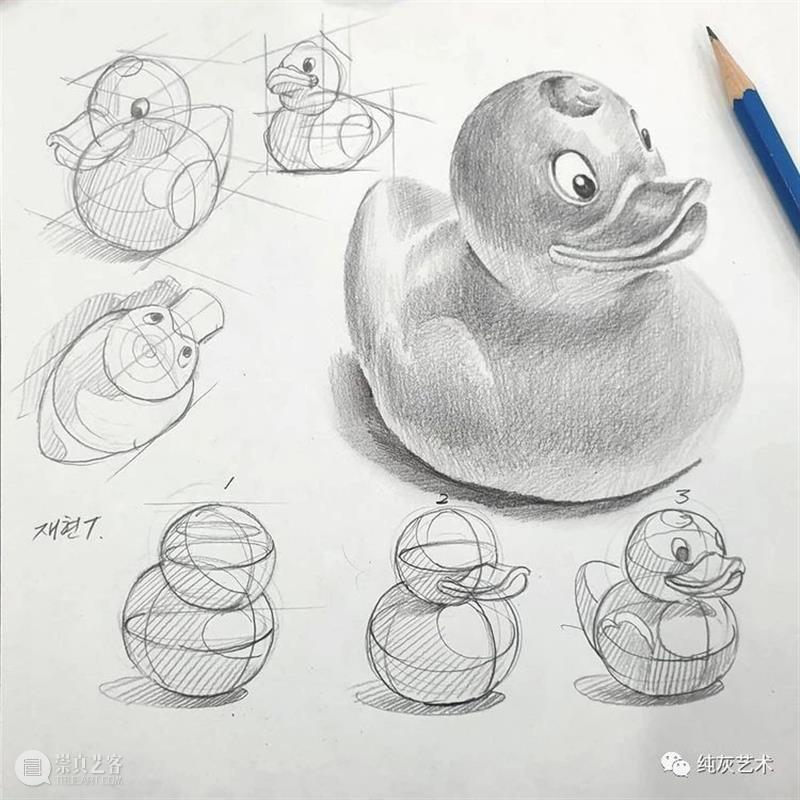 这样拆解画动物素描 素描 动物 韩国 艺术家 美术 老师 anjjaemi 作品 一幅画 结构 崇真艺客