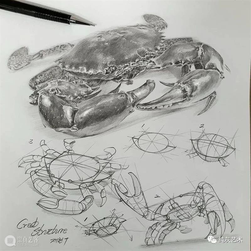 这样拆解画动物素描 素描 动物 韩国 艺术家 美术 老师 anjjaemi 作品 一幅画 结构 崇真艺客
