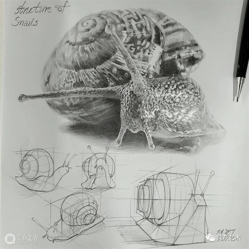 这样拆解画动物素描 素描 动物 韩国 艺术家 美术 老师 anjjaemi 作品 一幅画 结构 崇真艺客