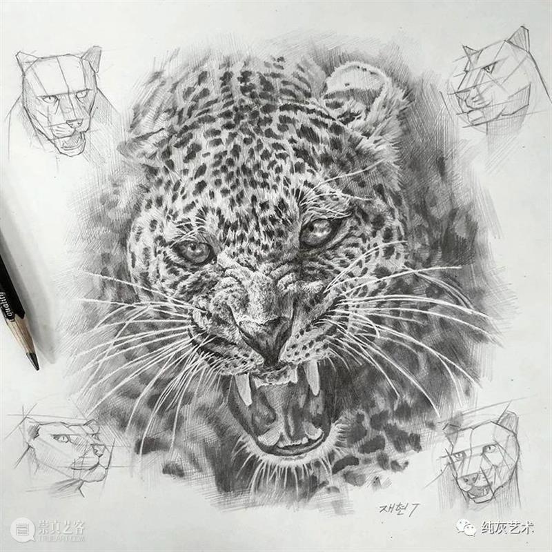这样拆解画动物素描 素描 动物 韩国 艺术家 美术 老师 anjjaemi 作品 一幅画 结构 崇真艺客