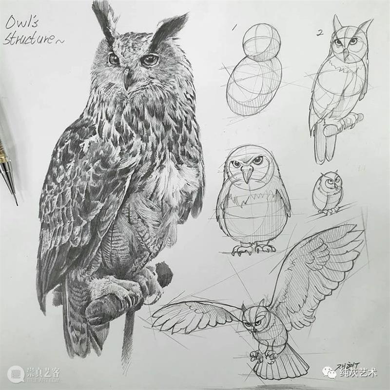 这样拆解画动物素描 素描 动物 韩国 艺术家 美术 老师 anjjaemi 作品 一幅画 结构 崇真艺客
