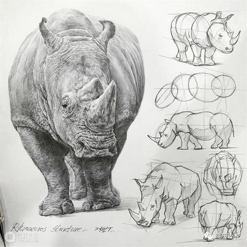 这样拆解画动物素描 素描 动物 韩国 艺术家 美术 老师 anjjaemi 作品 一幅画 结构 崇真艺客