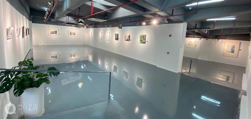 时代湾区·多彩罗湖——美术家采风写生作品展在罗湖美术馆展出 罗湖 美术馆 时代 湾区 美术家 作品展 深圳市罗湖区文学艺术界联合会 深圳市罗湖区美术家协会 罗湖美术馆 展厅 崇真艺客