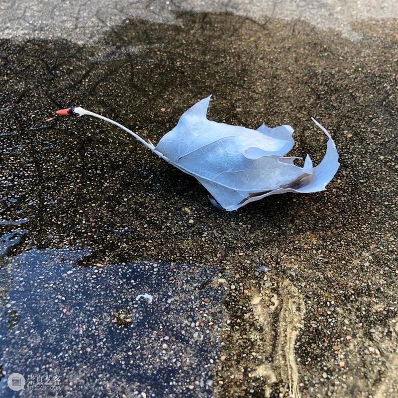“ 街头艺术 ”，身边的小风景一样可以玩起来，去试试吧！ 街头 艺术 身边 风景 END 崇真艺客