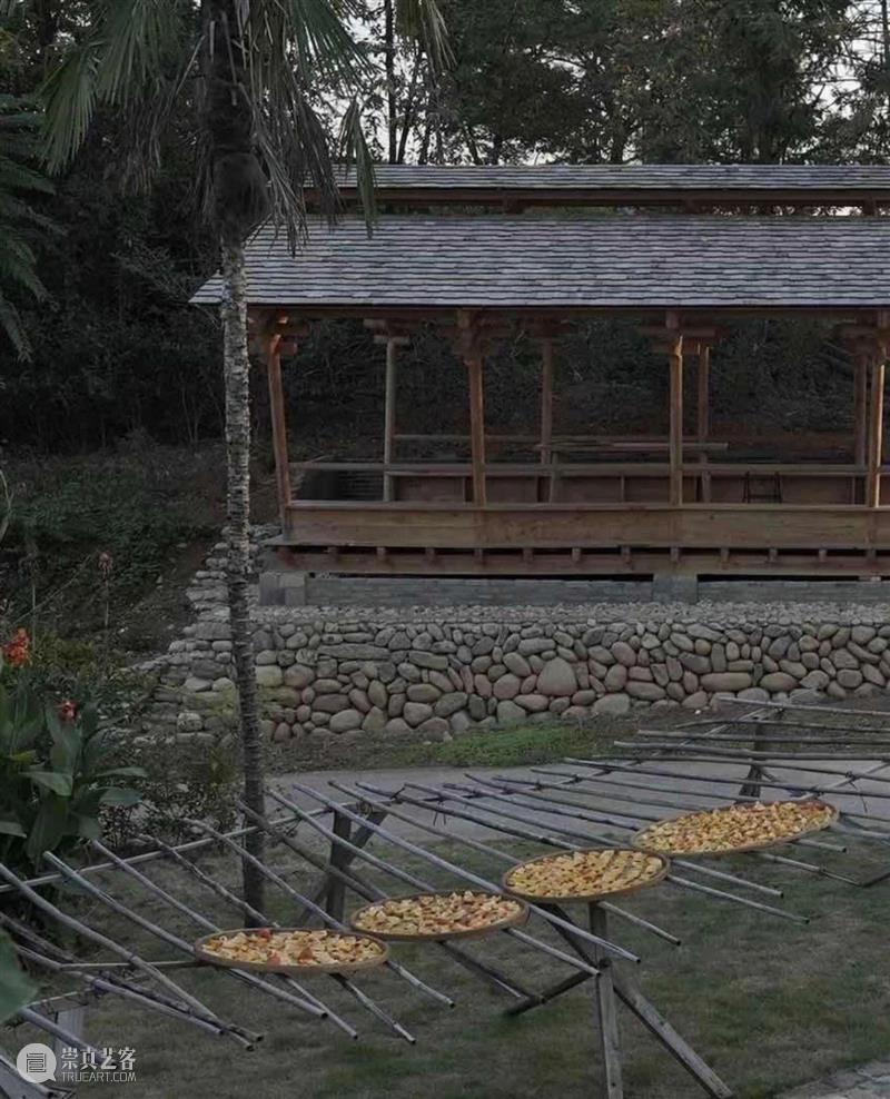 画家的茶园，和合茶亭 / 篆山营造 画家 茶园 篆山 茶亭 和合茶园 武夷山 景区 北侧 果园 南坡 崇真艺客