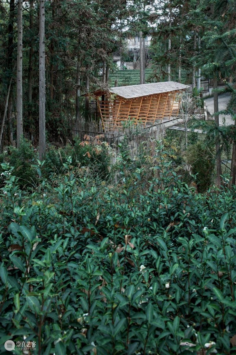 画家的茶园，和合茶亭 / 篆山营造 画家 茶园 篆山 茶亭 和合茶园 武夷山 景区 北侧 果园 南坡 崇真艺客