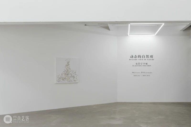 展览现场 | 夏俭宁个展“动态的自然观” 夏俭宁 个展 动态 自然观 现场 画廊 策展人 柴中建 Curator Zhongjian 崇真艺客