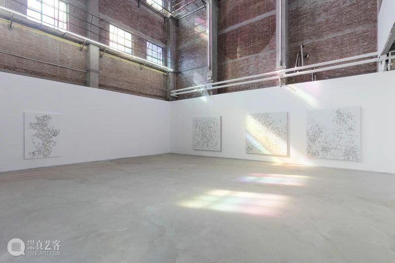 展览现场 | 夏俭宁个展“动态的自然观” 夏俭宁 个展 动态 自然观 现场 画廊 策展人 柴中建 Curator Zhongjian 崇真艺客