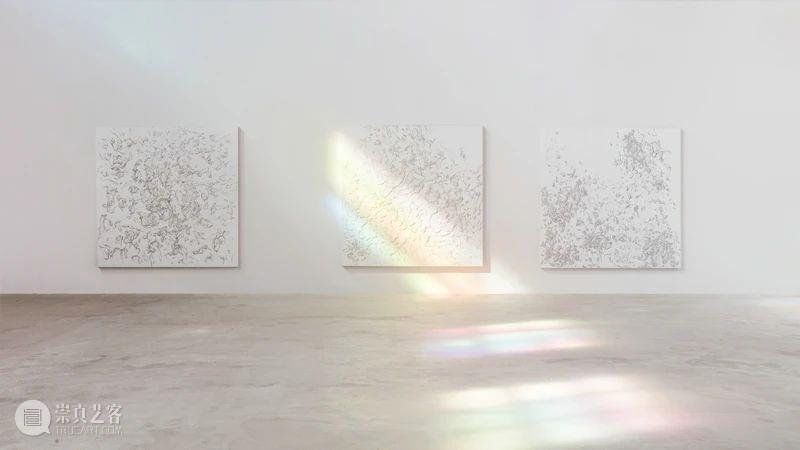 展览现场 | 夏俭宁个展“动态的自然观” 夏俭宁 个展 动态 自然观 现场 画廊 策展人 柴中建 Curator Zhongjian 崇真艺客