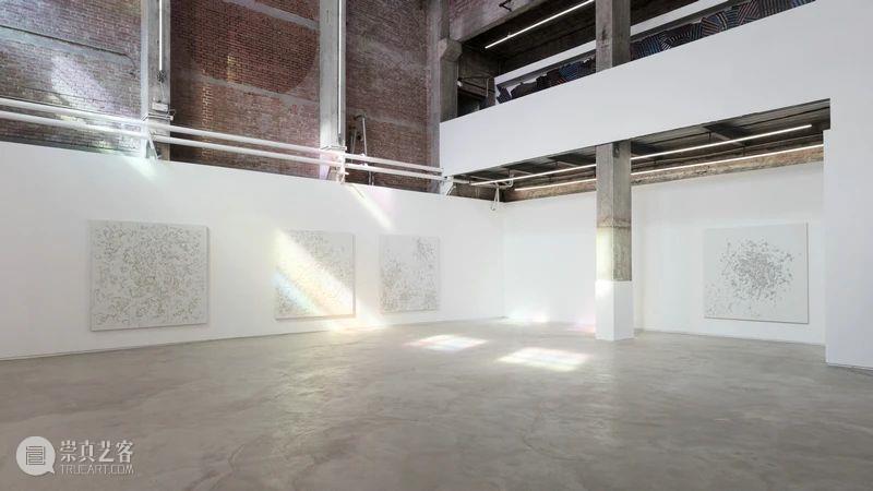 展览现场 | 夏俭宁个展“动态的自然观” 夏俭宁 个展 动态 自然观 现场 画廊 策展人 柴中建 Curator Zhongjian 崇真艺客
