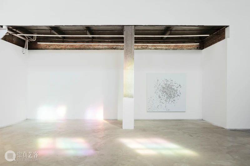 展览现场 | 夏俭宁个展“动态的自然观” 夏俭宁 个展 动态 自然观 现场 画廊 策展人 柴中建 Curator Zhongjian 崇真艺客