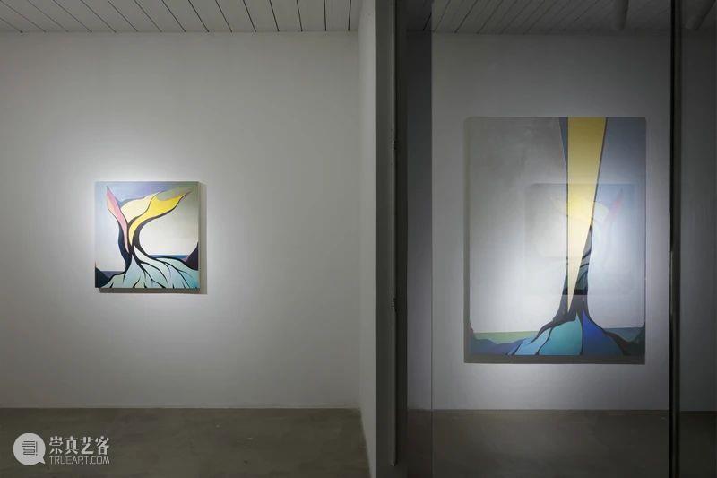 展览现场 | 夏俭宁个展“动态的自然观” 夏俭宁 个展 动态 自然观 现场 画廊 策展人 柴中建 Curator Zhongjian 崇真艺客