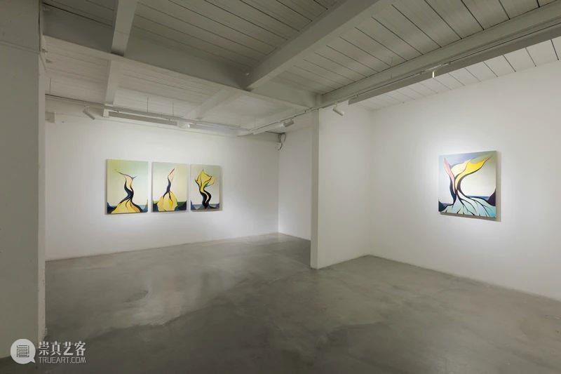 展览现场 | 夏俭宁个展“动态的自然观” 夏俭宁 个展 动态 自然观 现场 画廊 策展人 柴中建 Curator Zhongjian 崇真艺客