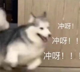《兰心大剧院》定档;《黑客帝国4》首曝预告 兰心大剧院 黑客帝国4 预告 影视 好剧 小豆 资讯 豆瓣 电影 微信 崇真艺客