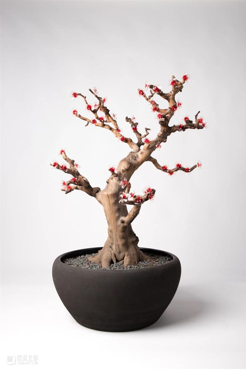 展览预告|开放的课堂系列展:广州美术学院艺术与人文学院“展览与编辑”课程实践展·案例一 课堂 系列 广州美术学院艺术与人文学院 编辑 课程 案例 缘溪行 主办单位 单位 广州美术学院大学城美术馆 崇真艺客