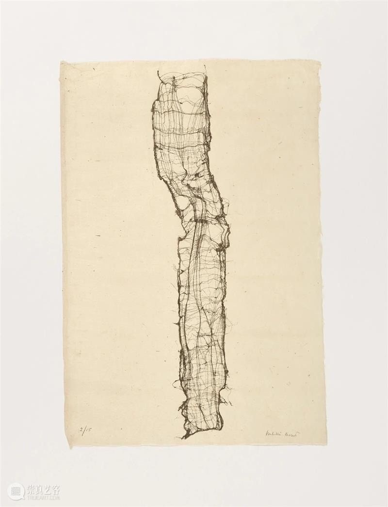 同行/织不能停，诗不能停 | Isabella Ducrot Ducrot 同行 意大利 罗马 生活 工作 艺术 生涯 织物 面料 崇真艺客