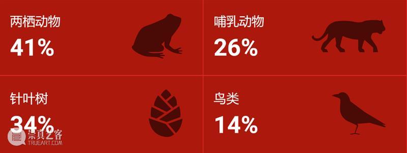 红色警报！更新的濒危物种红色名录，传递了什么信息？ 物种 红色 名录 信息 警报 动物 长颈鹿 视觉中国 联合国 生物 崇真艺客
