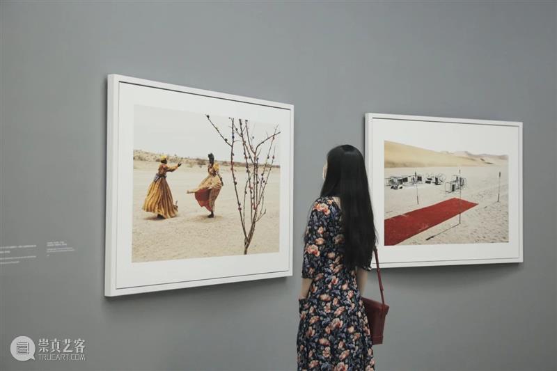 SCôP Exhibition | Hope Prix Pictet exhibition opens today Hope Prix Pict London particular environment basis refore station rewilding 崇真艺客