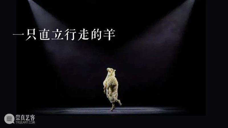 剧看世界|我们是穿着戏服的猴子,不曾回望宇宙的奇迹。 戏服 猴子 宇宙 奇迹 Mercier蒂奥 梅西耶 法国 视觉 艺术家 蒂奥 崇真艺客