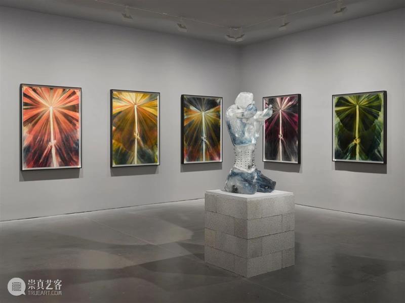 卓纳巴黎｜安德拉·乌苏塔（Andra Ursuţa）首展《空隙填充》 安德拉 乌苏 空隙填充 Ursu 卓纳 巴黎 塔Andra Fill 日期 时间 崇真艺客