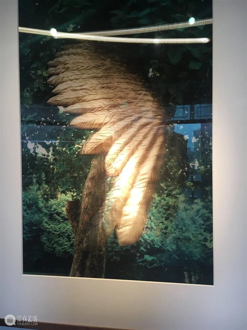 30周年 | Reg Newitt - It was in 1995 that I first went to China Reg Newitt was 二维码 红门画廊 时间轴 记忆 experiences Dyer for 崇真艺客