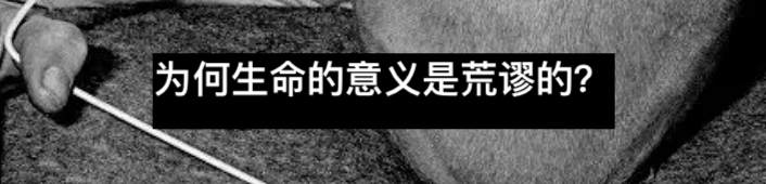 为什么活着? 崇真艺客