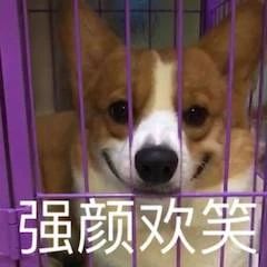 《007:无暇赴死》确认引进;《小美人鱼》真人电影定档 电影 007:无暇赴死 小美人鱼 真人 影视 好剧 小豆 资讯 豆瓣 微信 崇真艺客