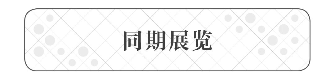 讲座回顾 | 拉斐尔与欧洲学院派理想:拉斐尔的生平及成就 拉斐尔 成就 讲座 欧洲学院 理想 生平 文艺复兴 新古典主义 大师 馆藏展 崇真艺客
