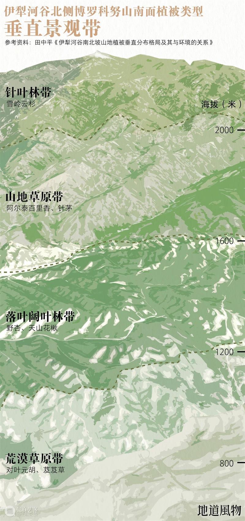 新疆最水灵的地方，为什么是伊犁？ 新疆 伊犁 地方 阔克苏大峡谷 鳄鱼湾 风物君语 骏马 秋风 大家庭 家中 崇真艺客