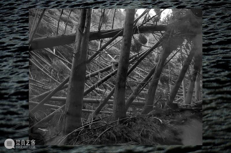 【周六开幕】荣荣&映里《即非京都》参展2021京都国际摄影节 即非京都 京都国际 荣荣&映里 荣荣映里 系列 新作 回声 日本 京都 京都市 崇真艺客