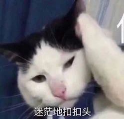 斯皮尔伯格新片曝预告；《梅艳芳》成釜山电影节闭幕片 视频资讯 Douban编辑部 斯皮尔伯格 新片 梅艳芳 釜山电影节 闭幕片 影视 好剧 小豆 资讯 豆瓣 崇真艺客