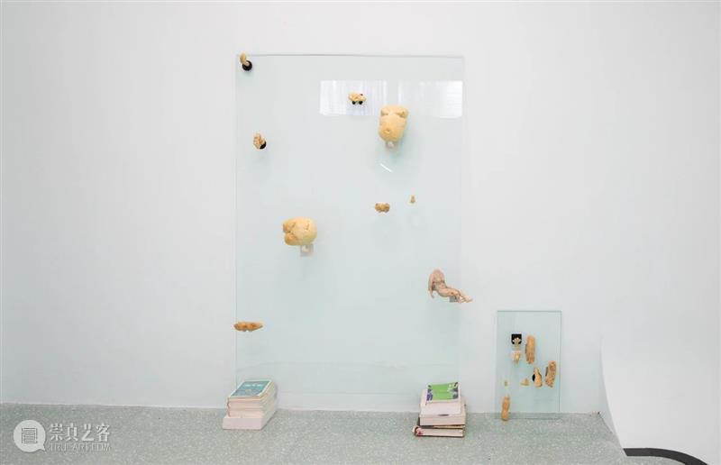 Review 现场 | 展览「借体」开幕回顾 现场 借体 Review 工作室 画廊 上海 view Studio Gallery Shanghai 崇真艺客