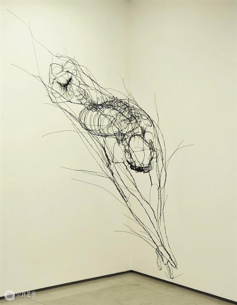 【IFA-艺术赏析】David Oliveira ｜ 线条雕塑 Oliveira 雕塑 线条 艺术 IFA 葡萄牙 艺术家 大卫 奥利维拉 里斯本 崇真艺客