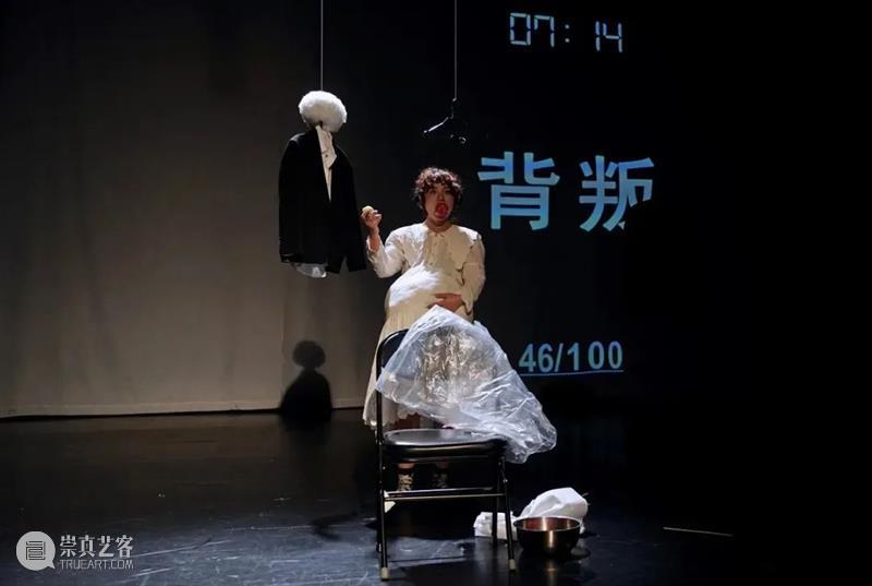 青戏节48小时V戏剧双奖得主,乌镇大戏主演,都在这棵椰子树下! 戏剧 主演 椰子 得主 乌镇 大戏 树下 北京 国际 青年 崇真艺客