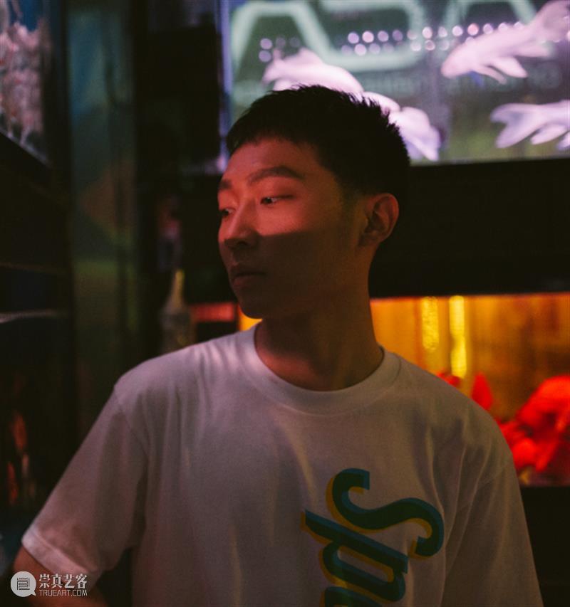 青戏节48小时V戏剧双奖得主，乌镇大戏主演，都在这棵椰子树下！ 戏剧 主演 椰子 得主 乌镇 大戏 树下 北京 国际 青年 崇真艺客