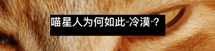 “招财猫”背后迷人的历史 招财猫 历史 背后 吉祥猫 财猫 亚洲 企业 特征 洗面 酉阳杂俎 崇真艺客