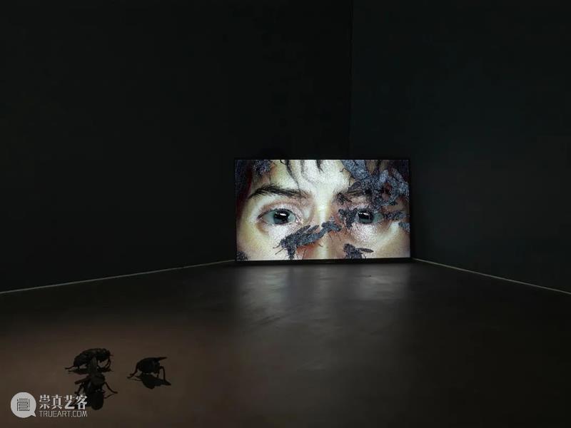 同行/溶解在虫月之外 | Bassam Al-Sabah 视频资讯 徐震XuZhen Sabah 同行 之外 伊拉克 艺术家 爱尔兰 工作 贝尔法斯特 都柏林 作品 崇真艺客